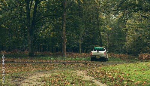 Pick-up truck parked in autumn forest. Wildlifepark Dulmen, Germany.