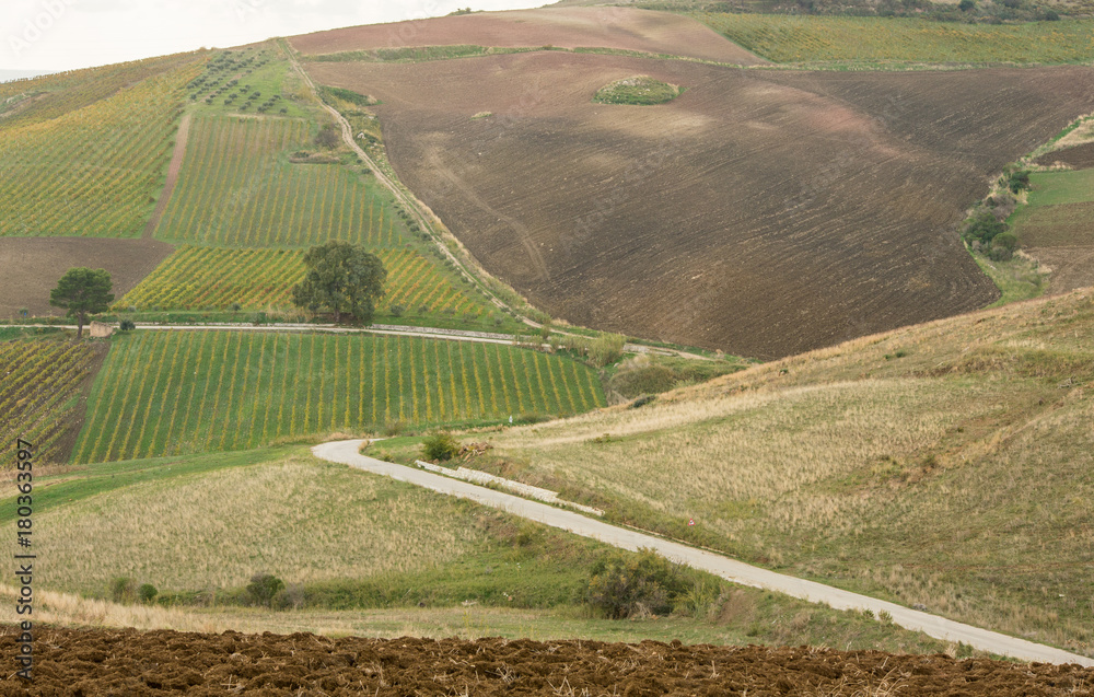 Scenic sicilian agriculture landscape during autumn time