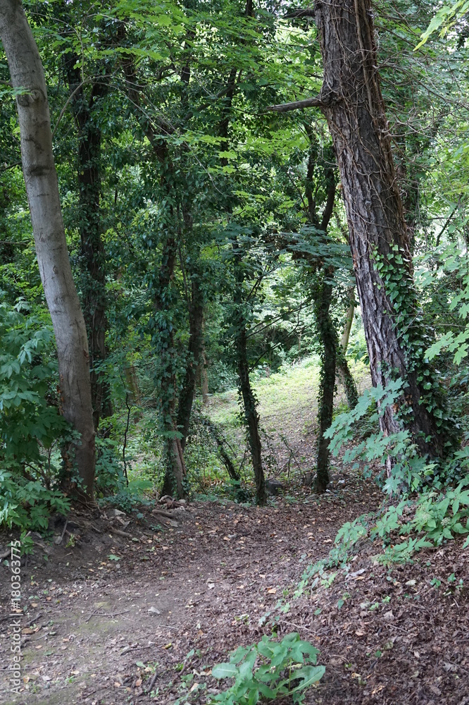 Obraz premium Czech Republic - Mělník