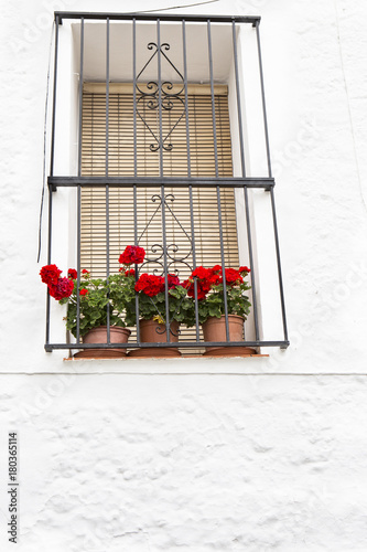 ventanas con barrotes de hierro forjado y persiana y macetas con geranios  en una facha de pared blanca encalada. foto de Stock | Adobe Stock