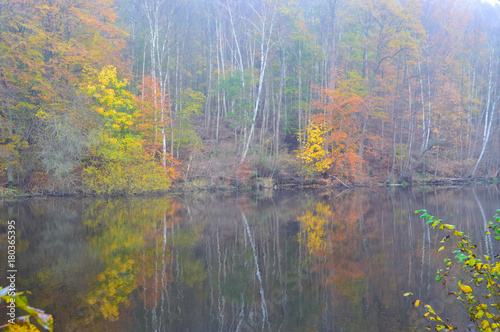 Seeufer im Herbst