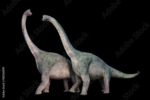 Brachiosaurus altithorax couple © dottedyeti