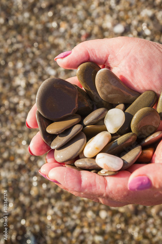 Sea stones in hands on the beach in the summer