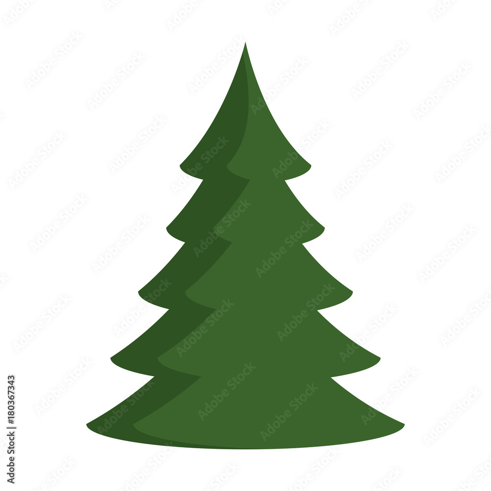 pine tree plant isolated icon vector illustration design pine tree plant isolated icon vector illustration design