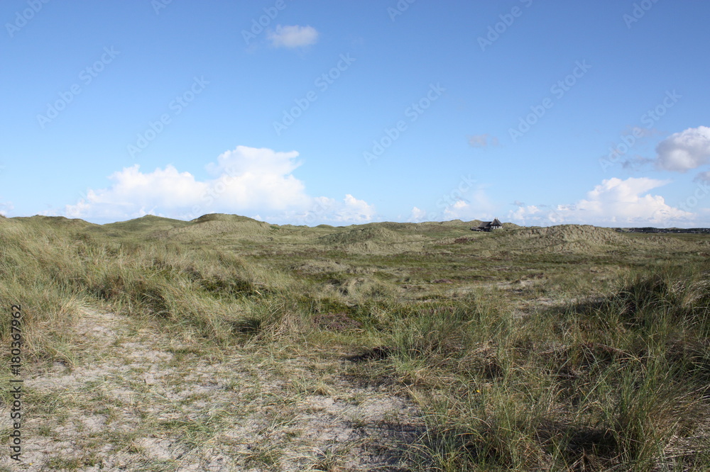 Obraz premium Sonniger Tag am Sandstrand