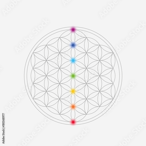 blume des lebens bunte chakrapunkte
