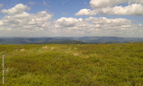 hills forest clouds sky grass