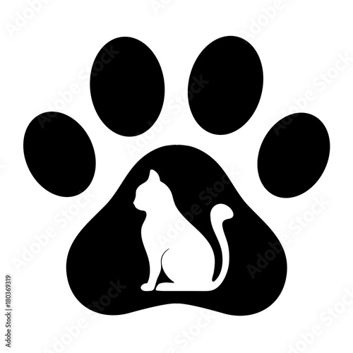 trail with a cat on a white background