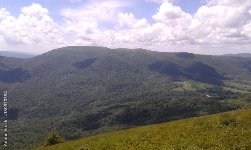 Obraz premium hills forest clouds sky grass