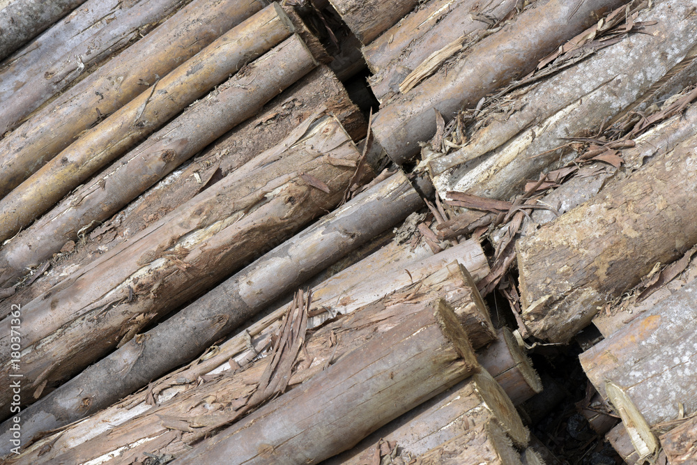 Pile of firewood in geometric composition Pile of firewood in geometric composition