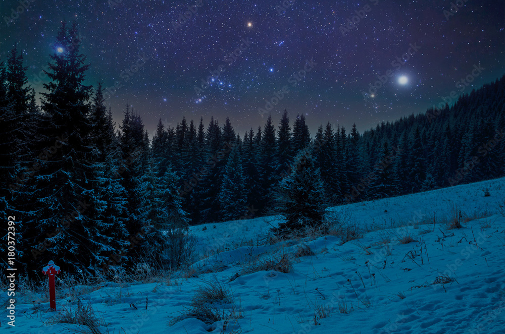 Fototapeta premium Beautiful night in winter. Mountain landscape
