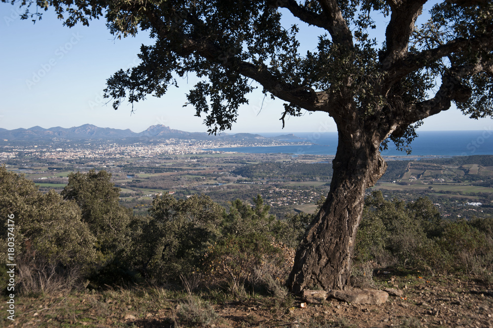 Depuis le sommet de la Flûte (Var) Depuis le sommet de la Flûte (Var)