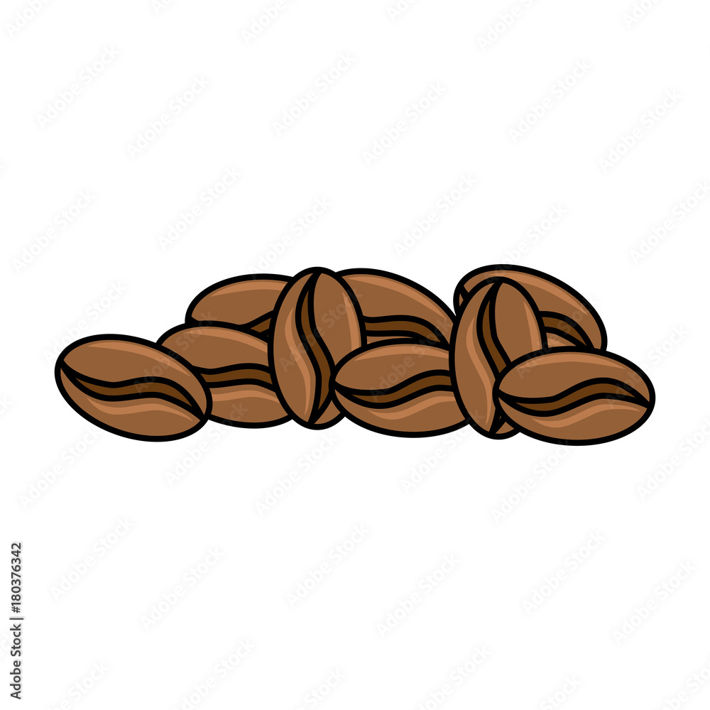 coffee seeds isolated icon vector illustration design coffee seeds isolated icon vector illustration design