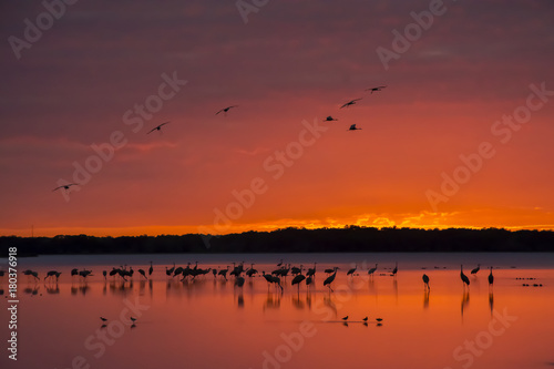 Sunset over Myakka Lake