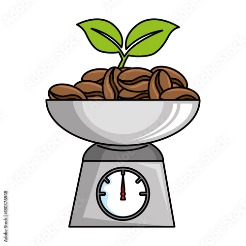 gramer with coffee seeds isolated icon vector illustration design