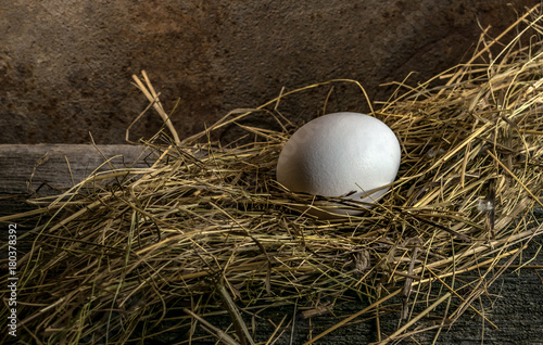 Chicken egg lay in the hay.