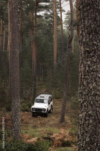 4x4 in the middle of the forest on a cloudy autumn day.