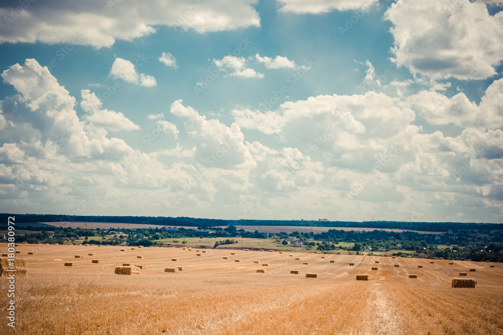 A newly harvested field with straw bales on the background of a blue cloudy sky A newly harvested field with straw bales on the background of a blue cloudy sky