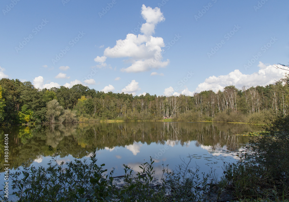 German lake landscape with blue sky and water reflections