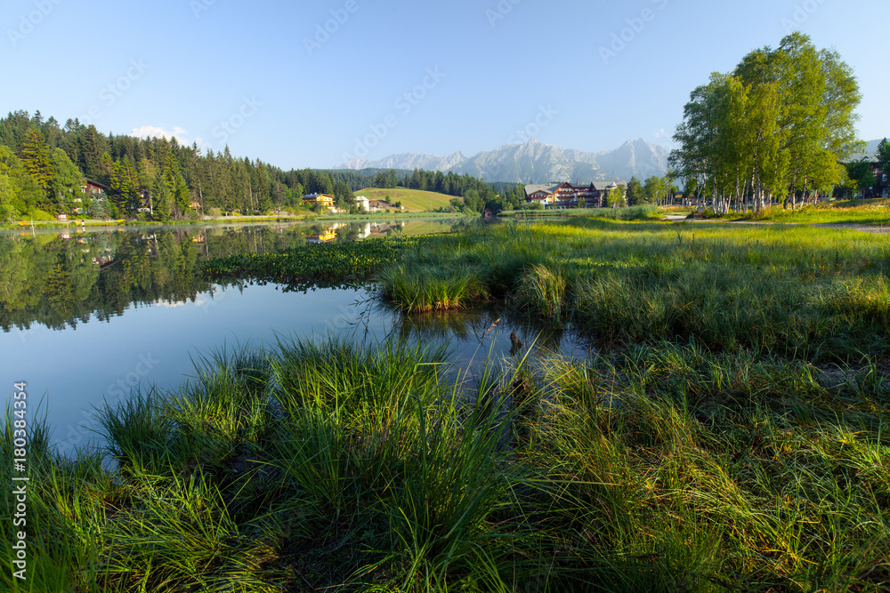 Green grass and trees on a coast of Alpine lake Seefeld, Austria Green grass and trees on a coast of Alpine lake Seefeld, Austria