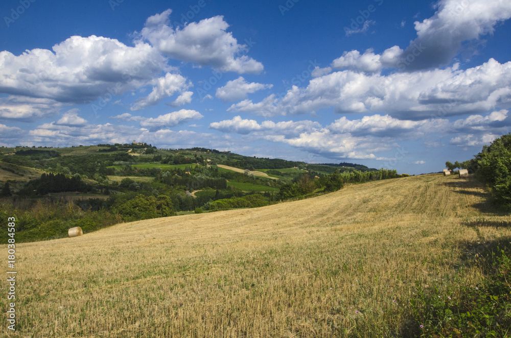 paesaggio campo di grano 