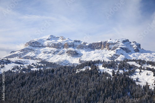 Winter in the alps