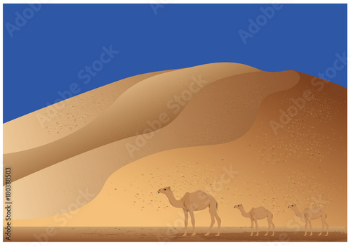 camel in desert vector design