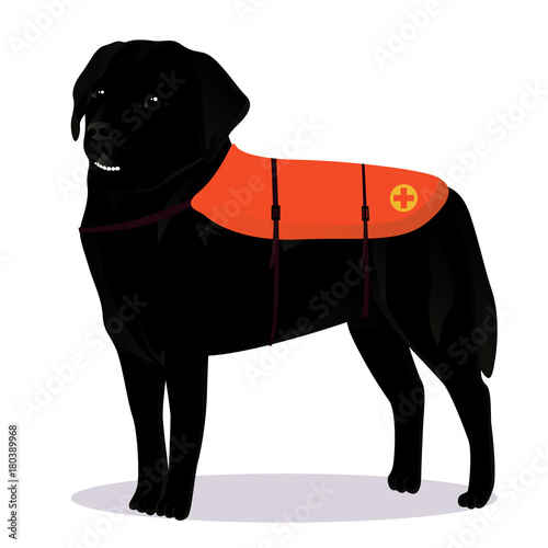 Labrador retriever lifesaver outline