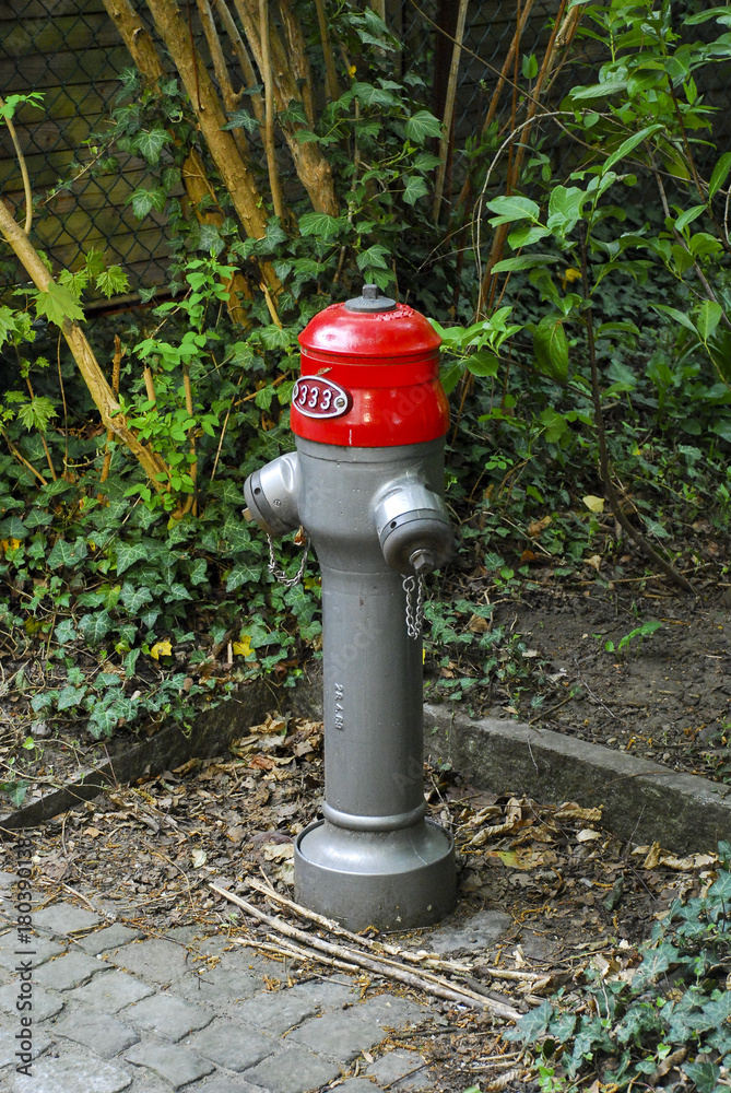 Swiss fire hydrant.333