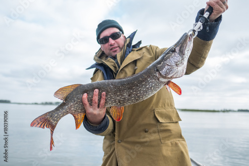Amateur angler holds big pike fish (Esox lucius) weight of fish is 4.6 kg (10 lb)