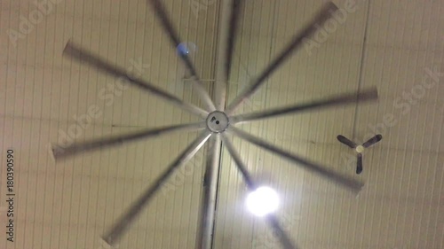 Huge fan on ceiling of large plant factory spins hypnotically next to much smaller plant.  