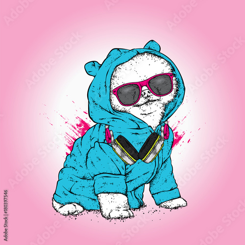 Beautiful spitz with headphones and glasses. Vector illustration. Stylish thoroughbred puppy. A dog in clothes and accessories.