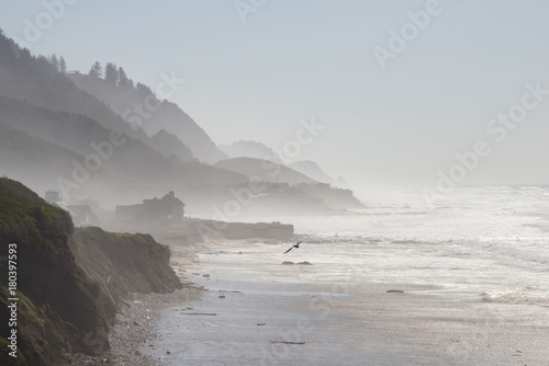 Misty Cliff and Ocean Beach, Florence, Oregon. Copy space.