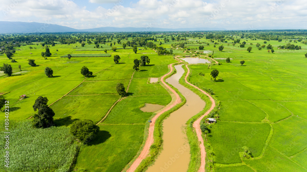 Aerial view of a rice fields in Thailand.