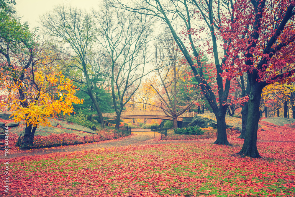Central park at rainy day, New York City, USA Central park at rainy day, New York City, USA