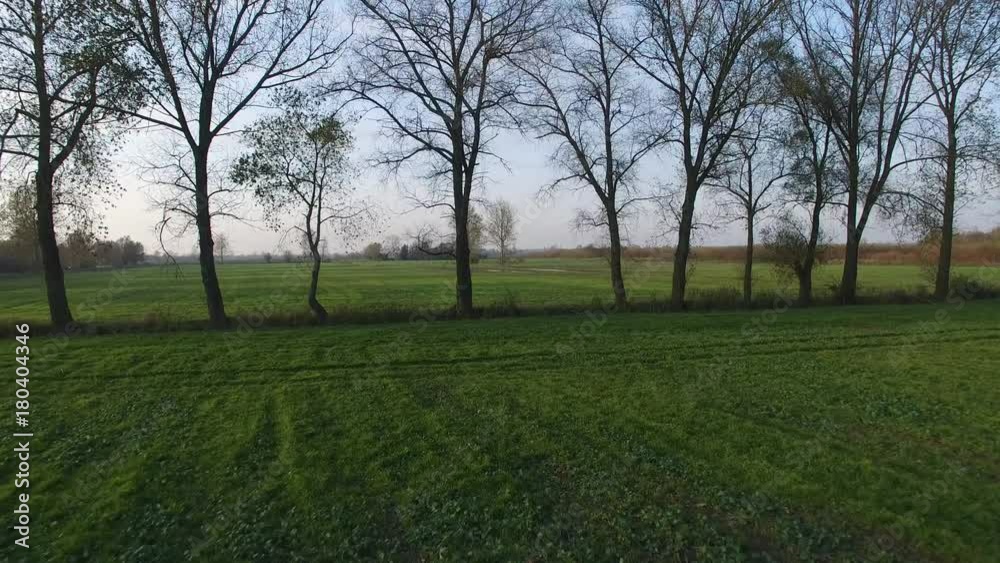 Aerial Flying Through Trees Lane Over Farmland Aerial Flying Through Trees Lane Over Farmland