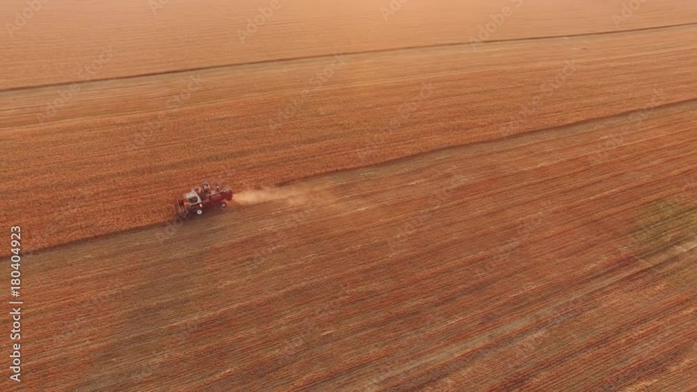 AERIAL: Harvesting wheat at sunset / Agricultural machinery on farm fields at sunset in season of harvest, aerial view, drone point of view AERIAL: Harvesting wheat at sunset / Agricultural machinery on farm fields at sunset in season of harvest, aerial view, drone point of view