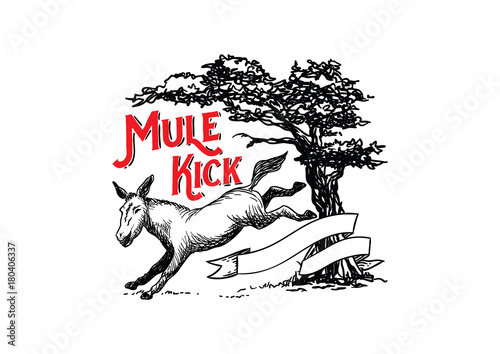 Mule Kick Illustration Design