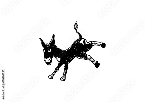 Mule Kick Isolated