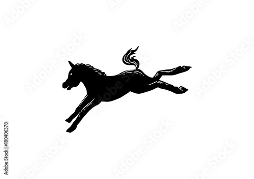 Mule Kick Isolated