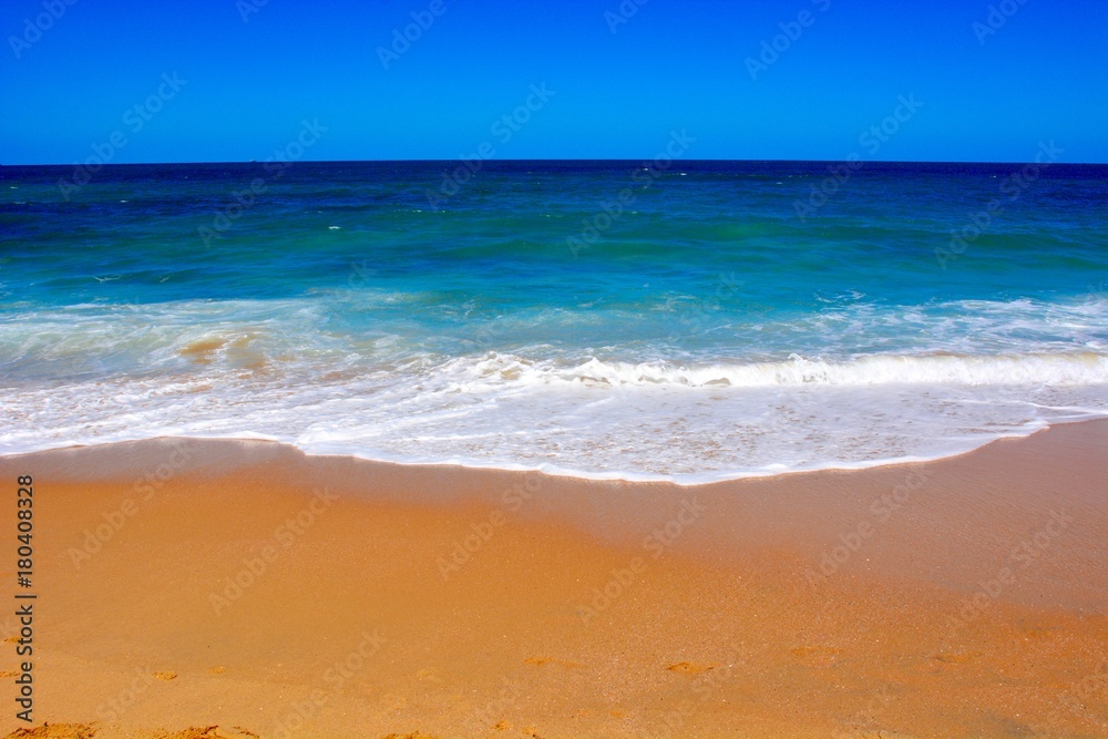 tropical beach scene with golden sand