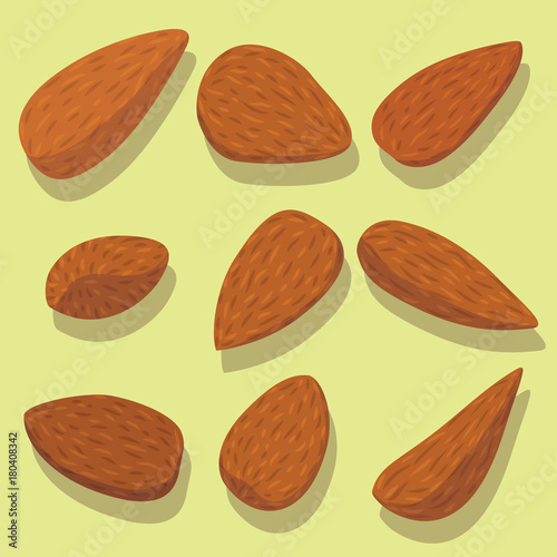 Vector set of almonds