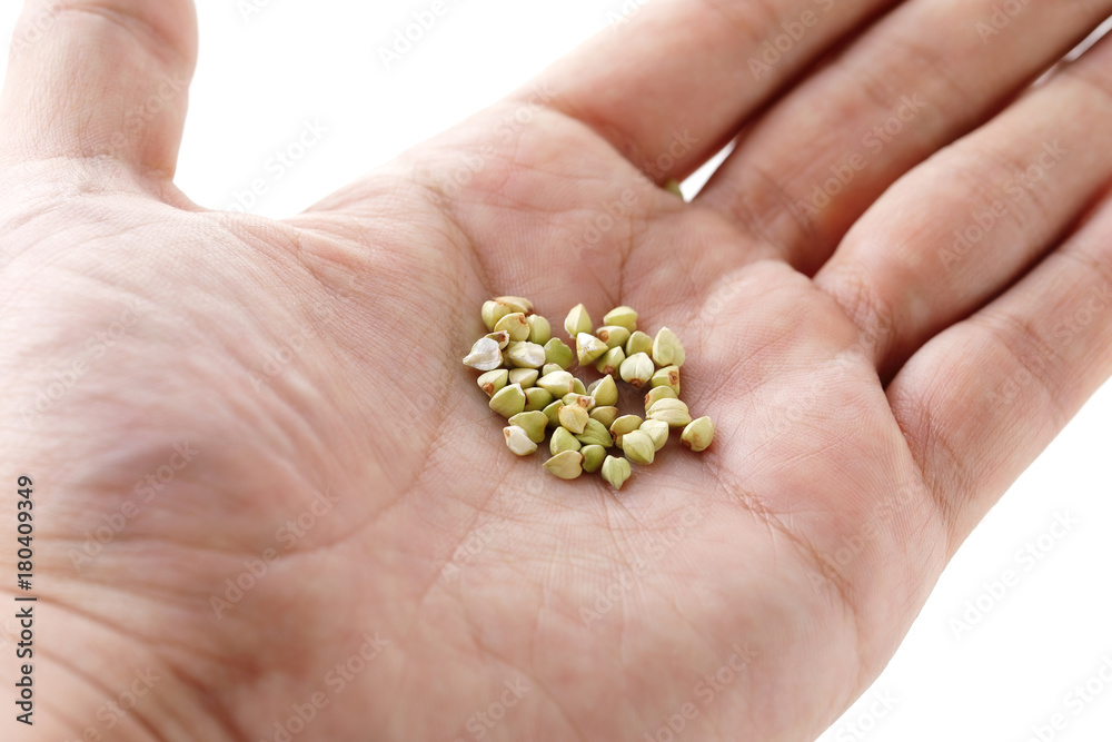 蕎麦の実　Buckwheat seeds