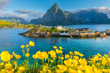 Papier peint photo Lofoten Été scénique aux îles Lofoten  © Songkhla Studio