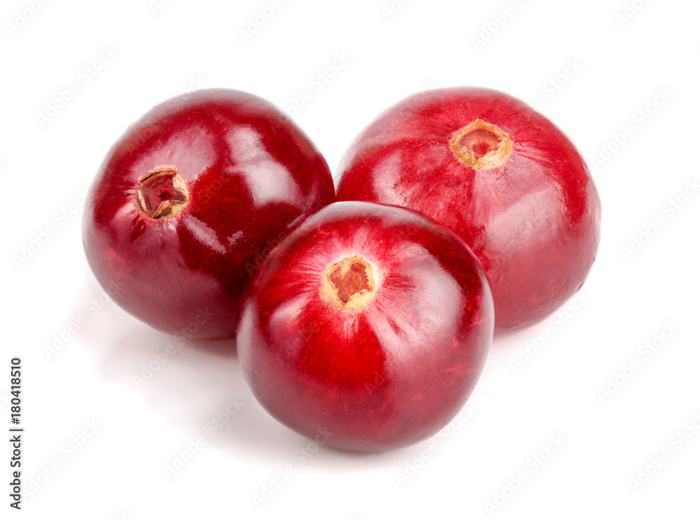 Cranberry isolated on white background closeup macro Cranberry isolated on white background closeup macro