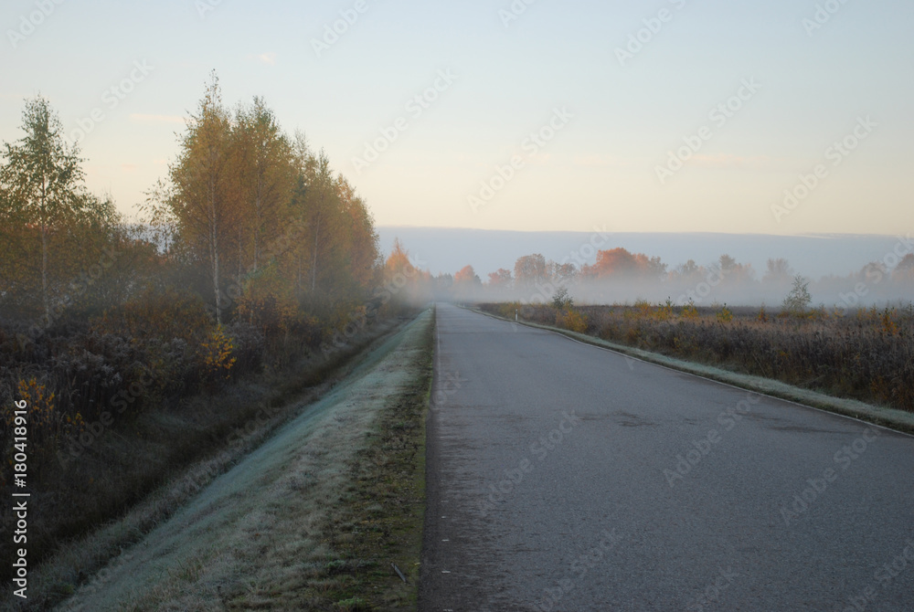 The first frost, fog in the autumn morning on the road.