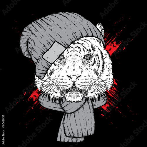 Fototapeta Naklejka Na Ścianę i Meble -  A beautiful tiger in a stylish hat and scarf. Vector illustration for prints on clothes, postcards or posters. Stylish animal-hipster.