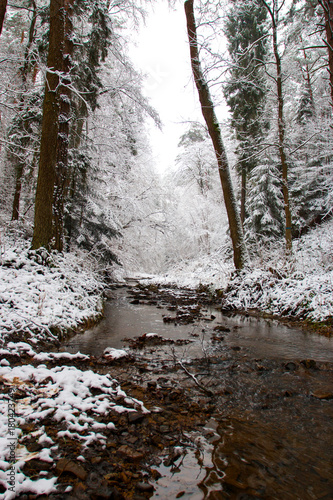 Pokryte sniegiem drzewa nad górskim potokiem