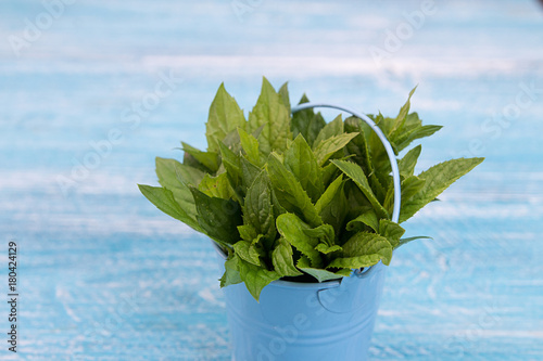 Bundl of mint in small bucket on blue wooden background. Copy space. Top view. photo