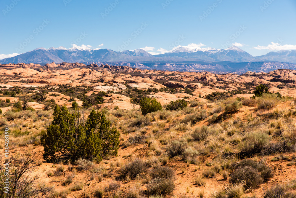 Petrified dunes Arches Nationalpark Utah